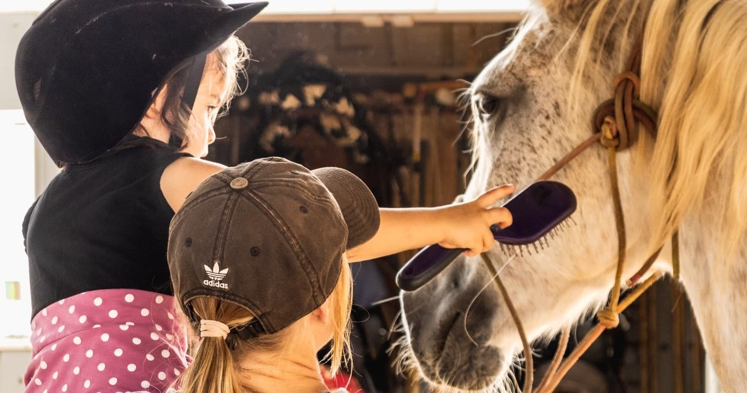 Keiki Horsemanship & Riding Lesson