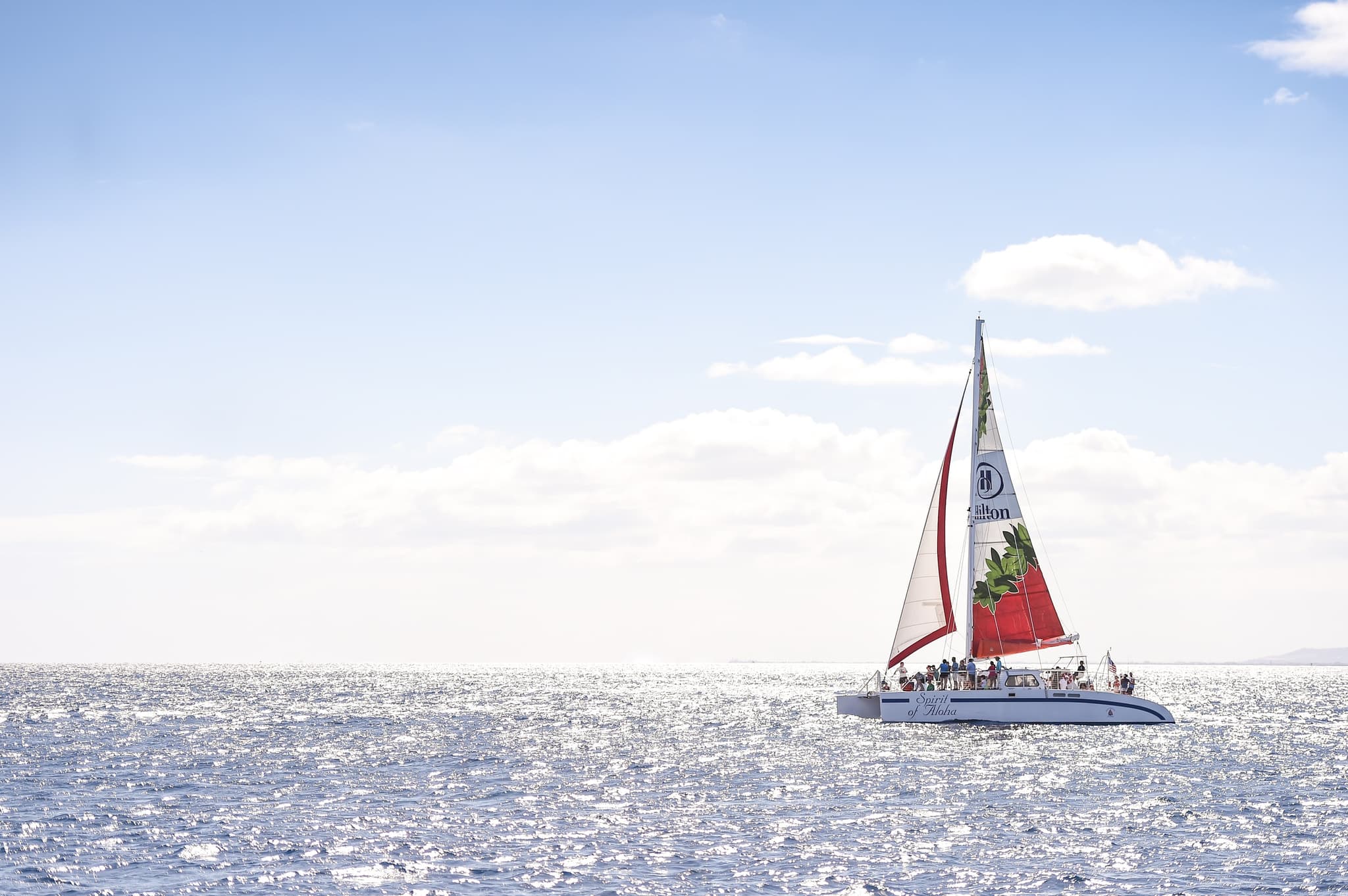 Kona Turtle Snorkel Sail with Lunch