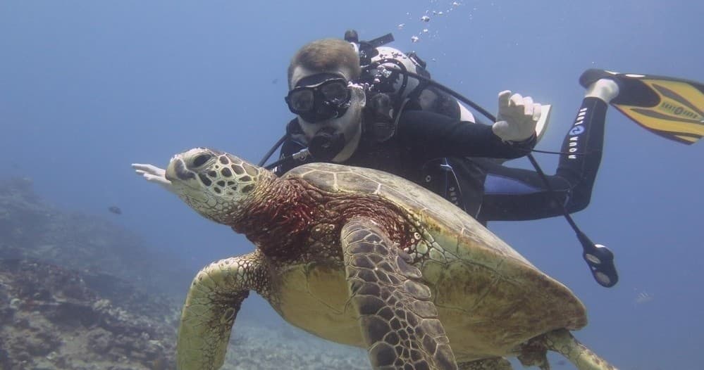 Waikiki Diving Adventure (Non - Certified Divers)