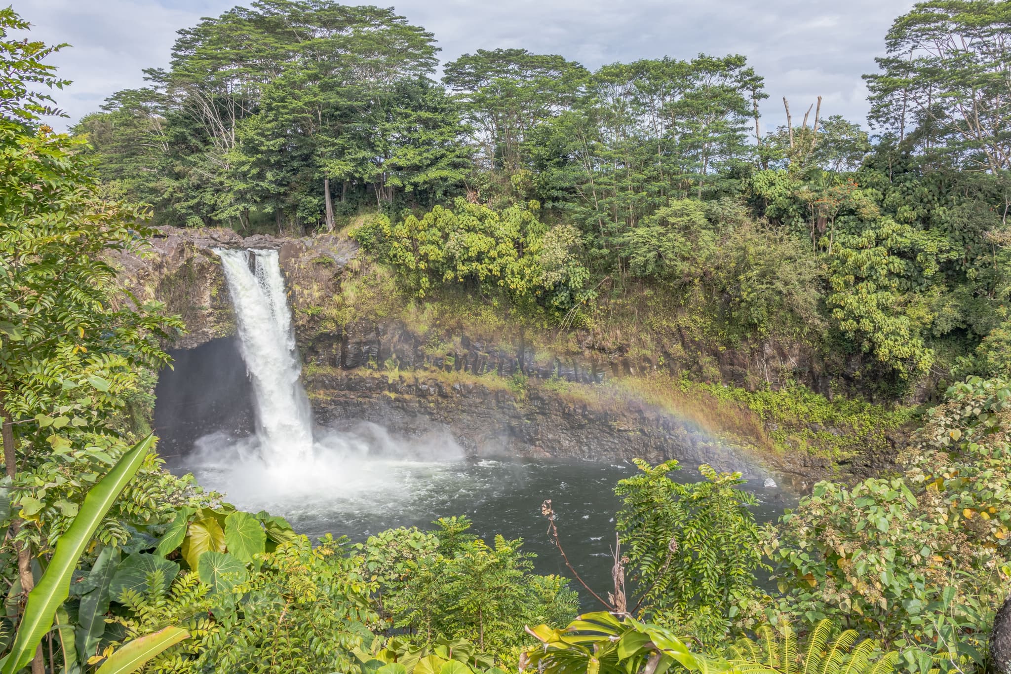 Hilo Cruise Ship Guest Special - Botanical Gardens, Waterfalls, and Farmers Market