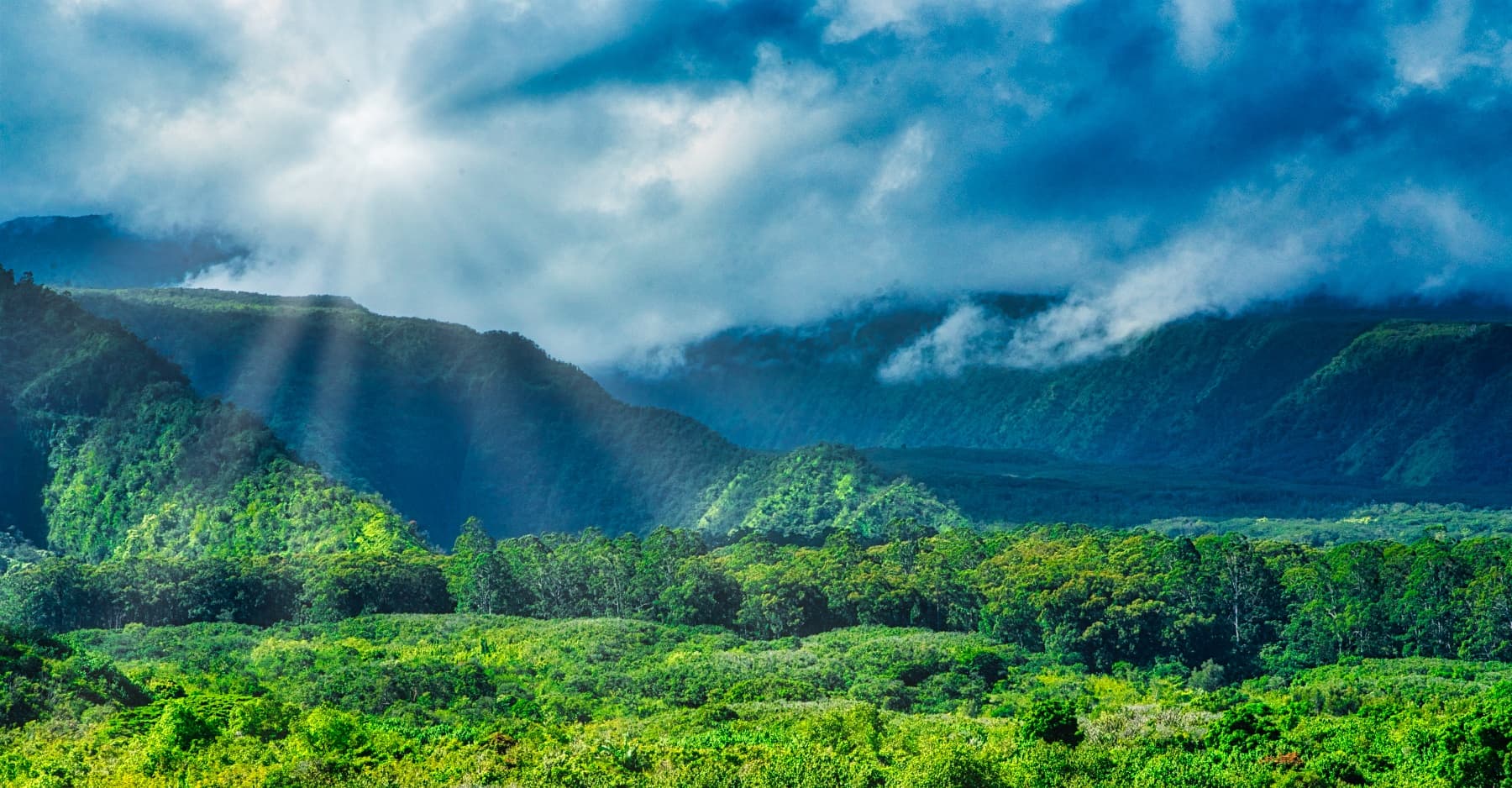 Private Road to Hana VIP Tour - Full Day