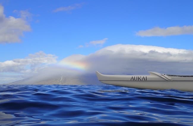 Grand Wailea Swim with the Turtles