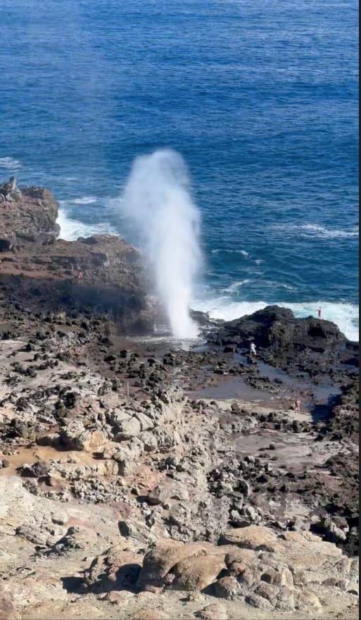 Locals' Favorites: Private Maui Tour