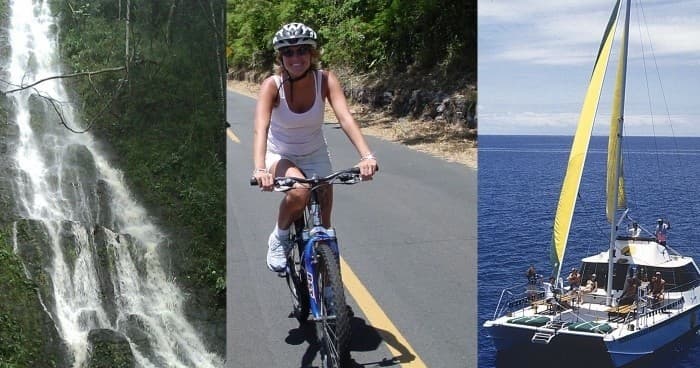 Rainforest to Reef tour:  Full-Day