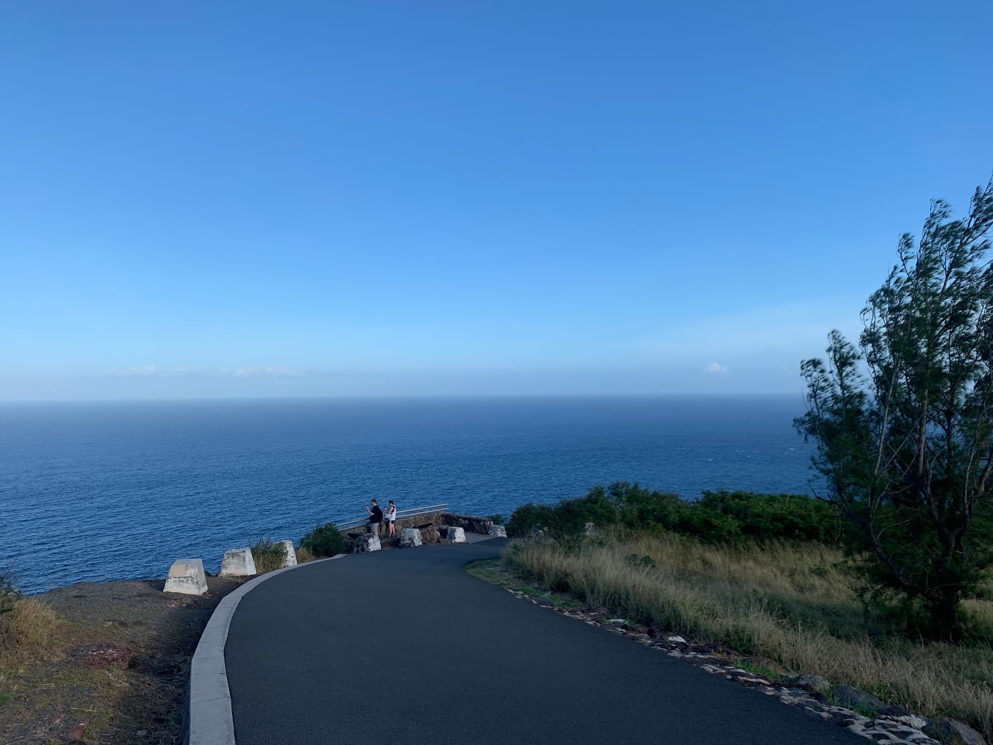 Shoreline Expedition