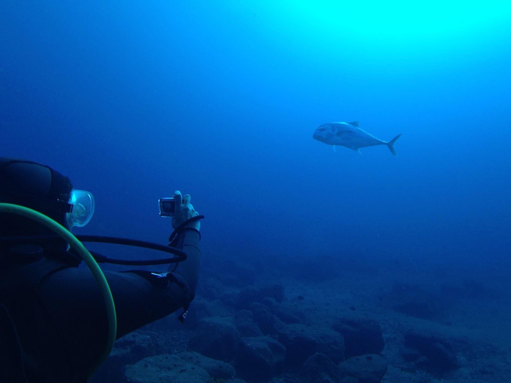 Epic Kauai Boat Dives