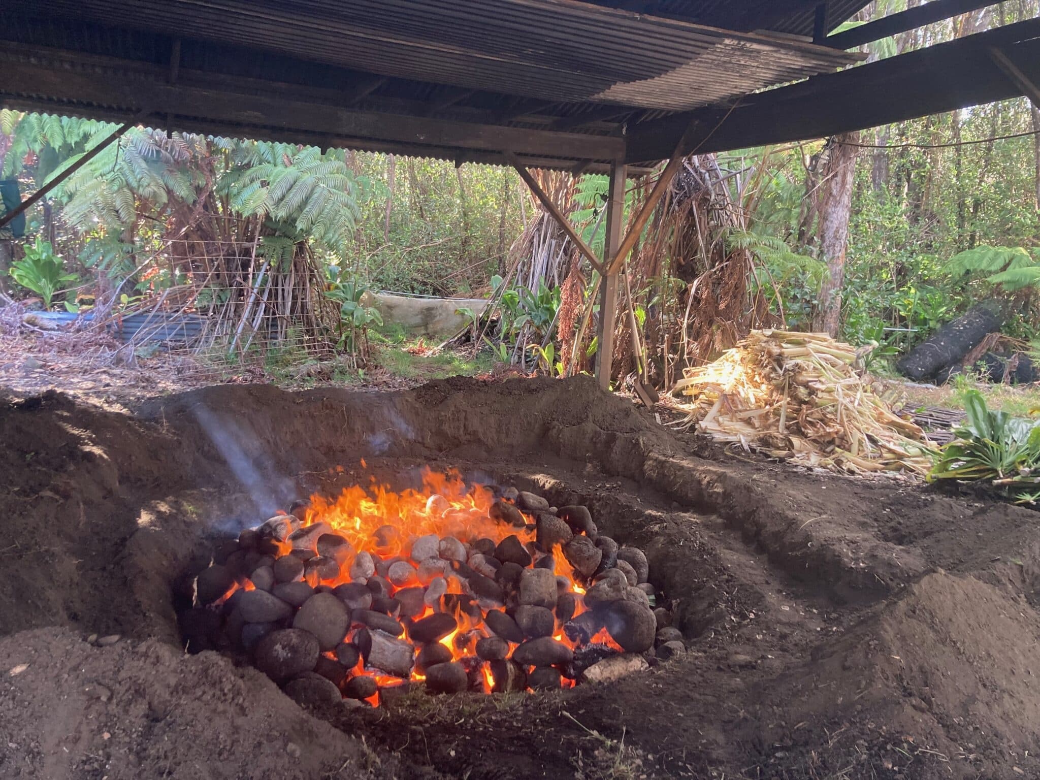 Catch & Cook Mauka (Mountain)