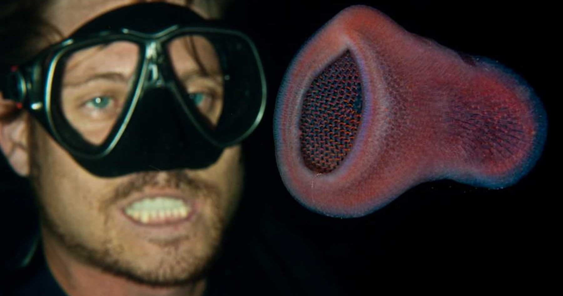 Black Water Night Dive