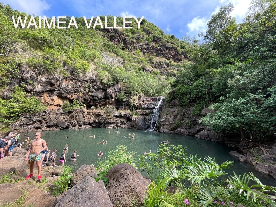 Full Day Circle Island Tour See it All