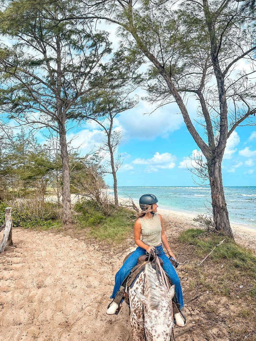 Sunshine Horseback Ride