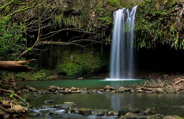 1/2 Day VIP Private North Shore Waterfall Tour