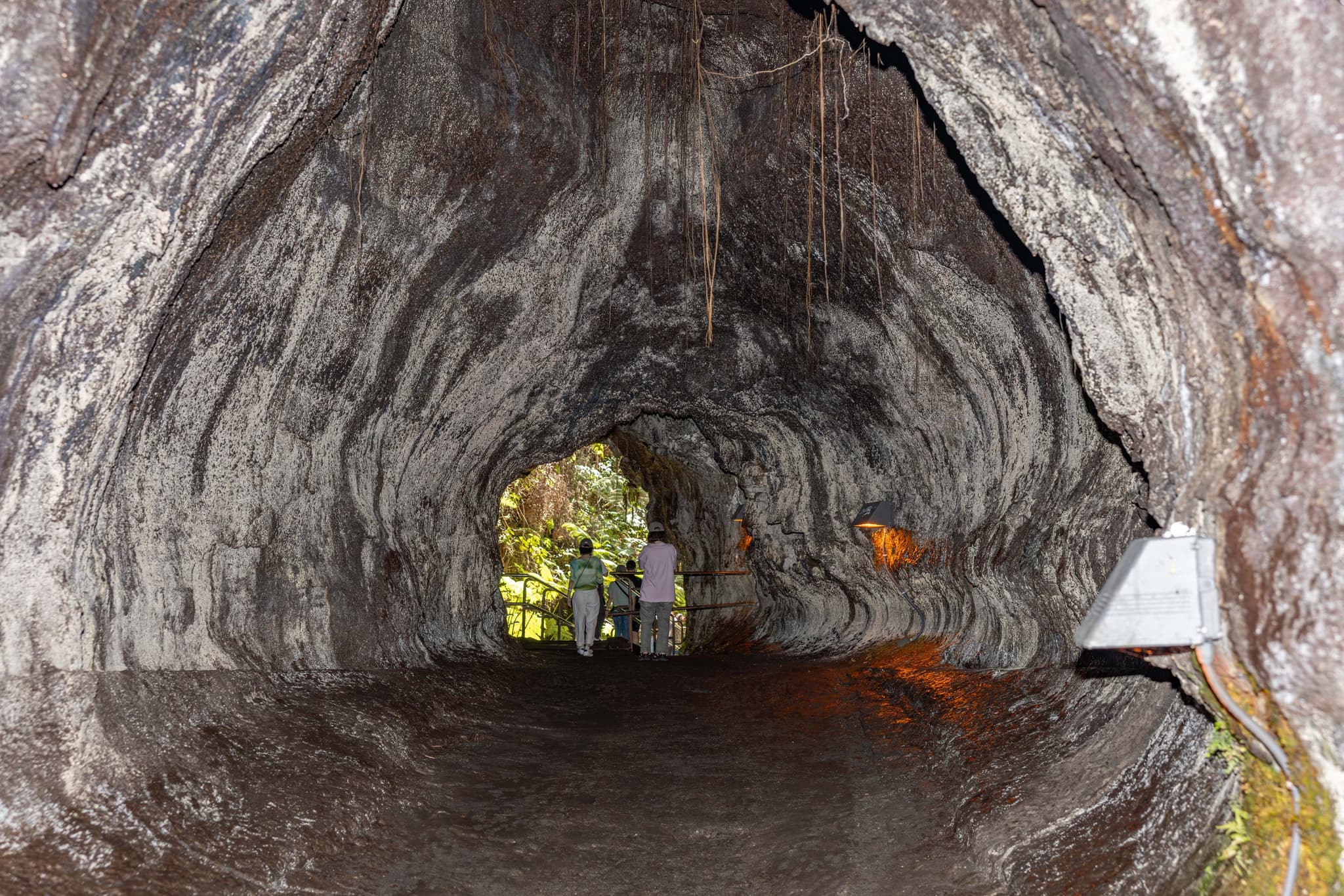 Hawai'i Volcanoes National Park In-Depth Adventure