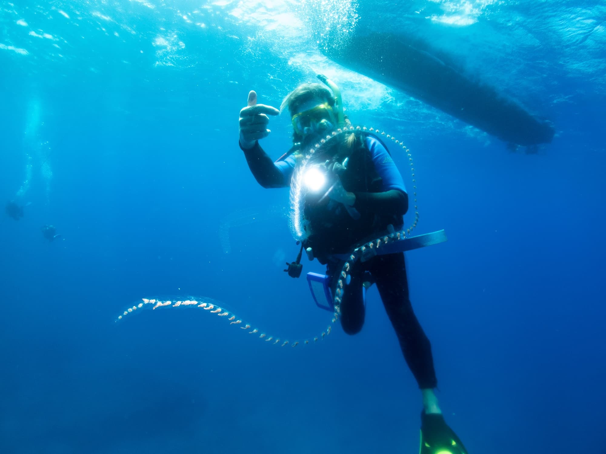 Premium 3-Tank Boat Dive