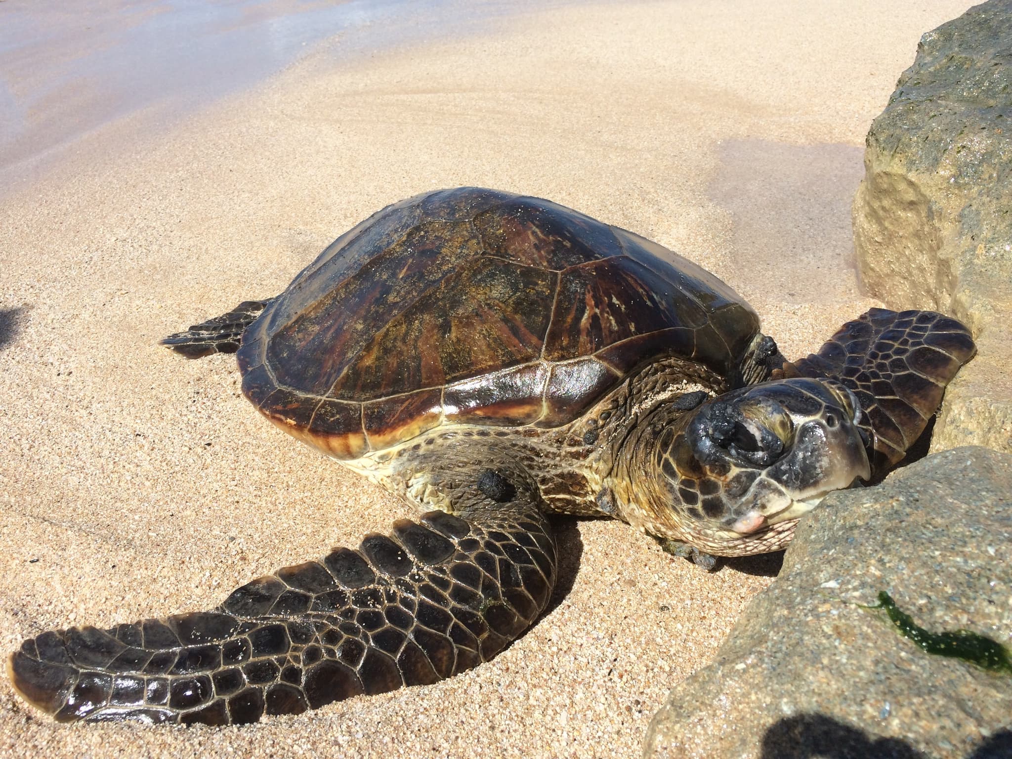 Narrated History Tour of Oahu