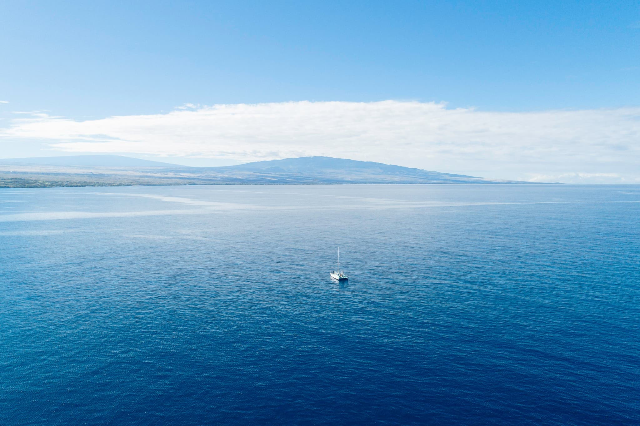 Whale Watch/ Coastline Tour