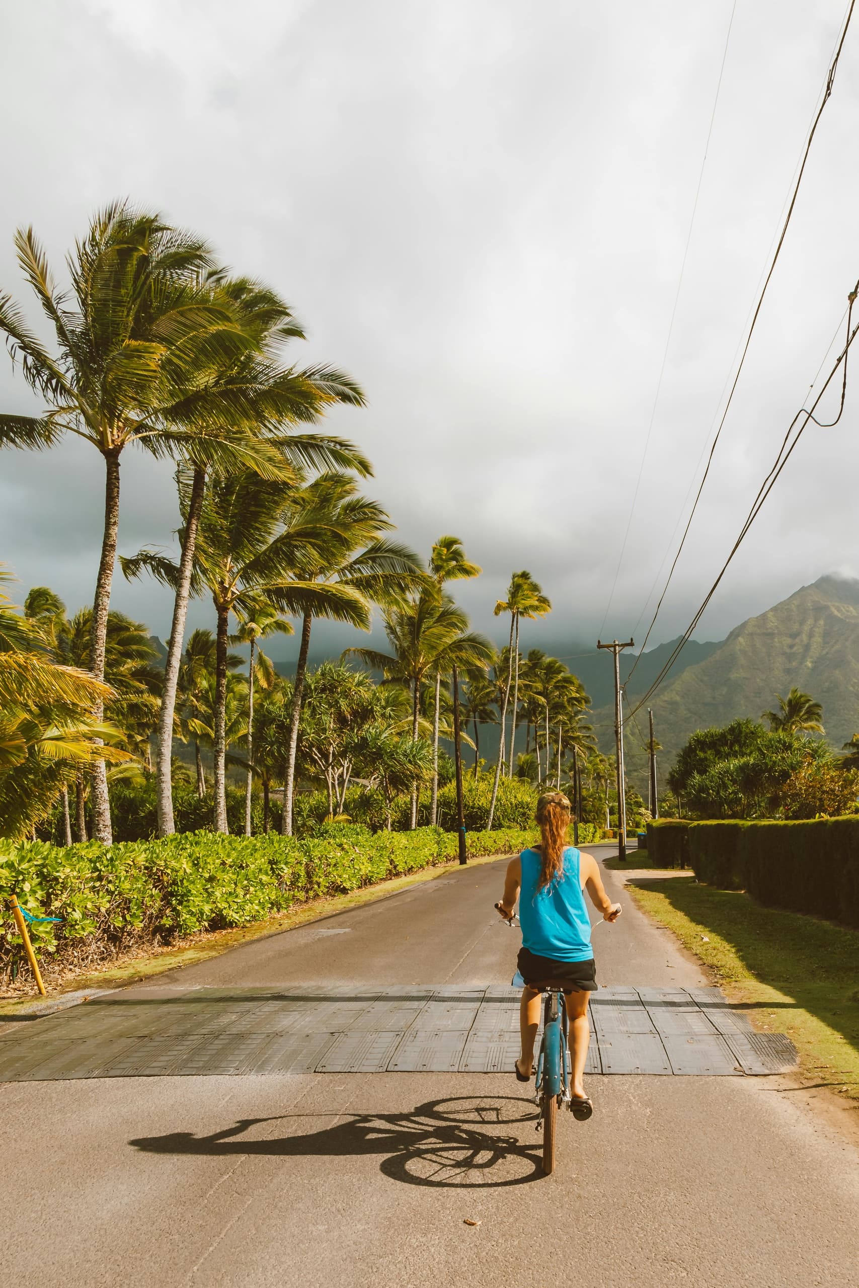 Kayak & Beach Gear Rental (Half-Day)