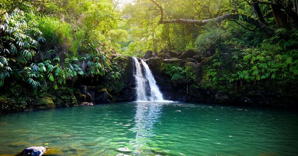 Private Halfway to Hana VIP Tour