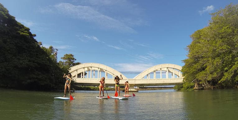Group Paddelboarding Lessons
