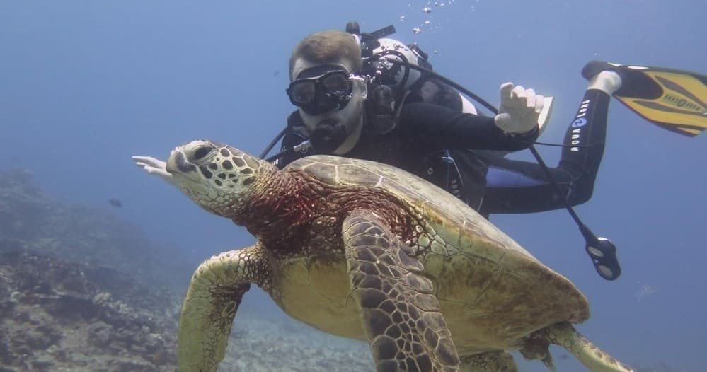 Waikiki Diving Adventure (Certified Divers)