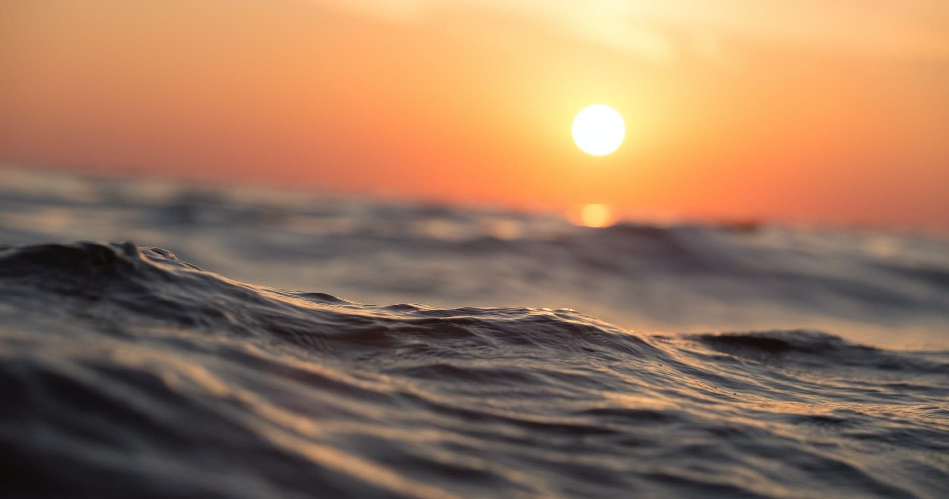 Public Sunset Cruise