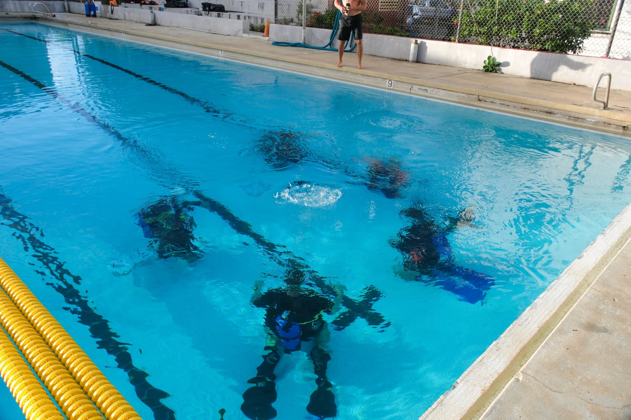 Dive Classes