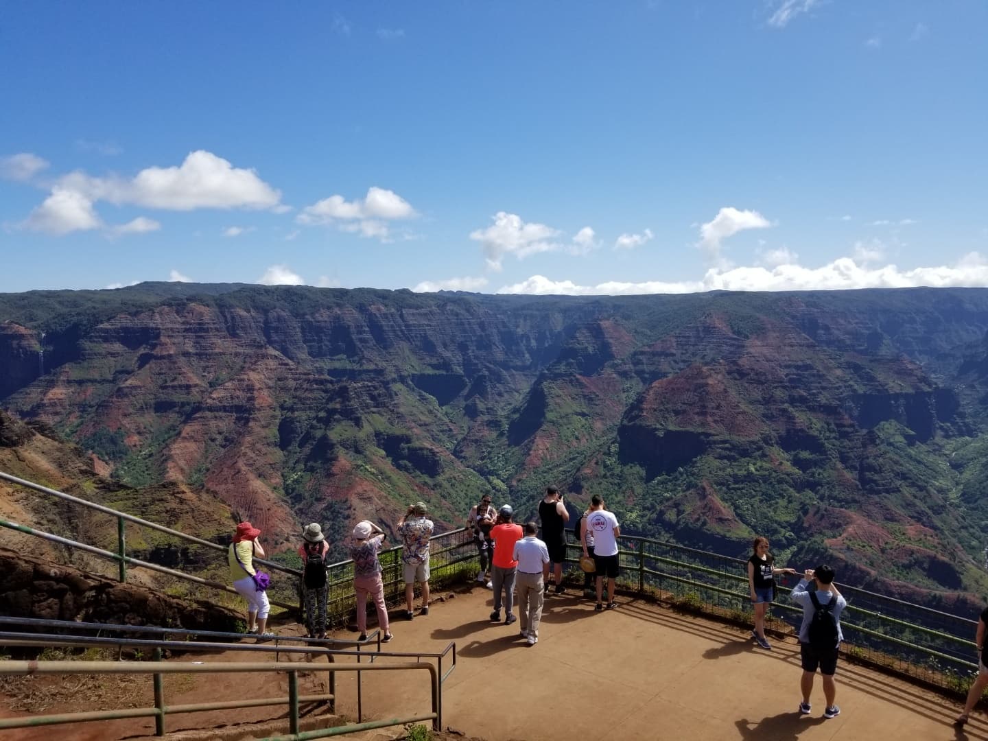 Waimea Canyon Tour - From Kauai (2nd van)