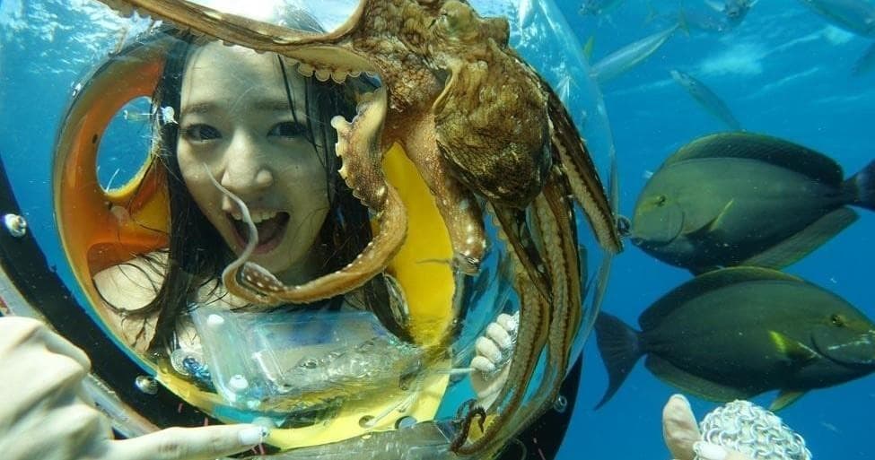 Submarine Scooter & Turtle Snorkeling Tour