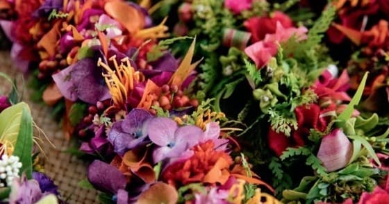 Lei Celebration & Dance Party