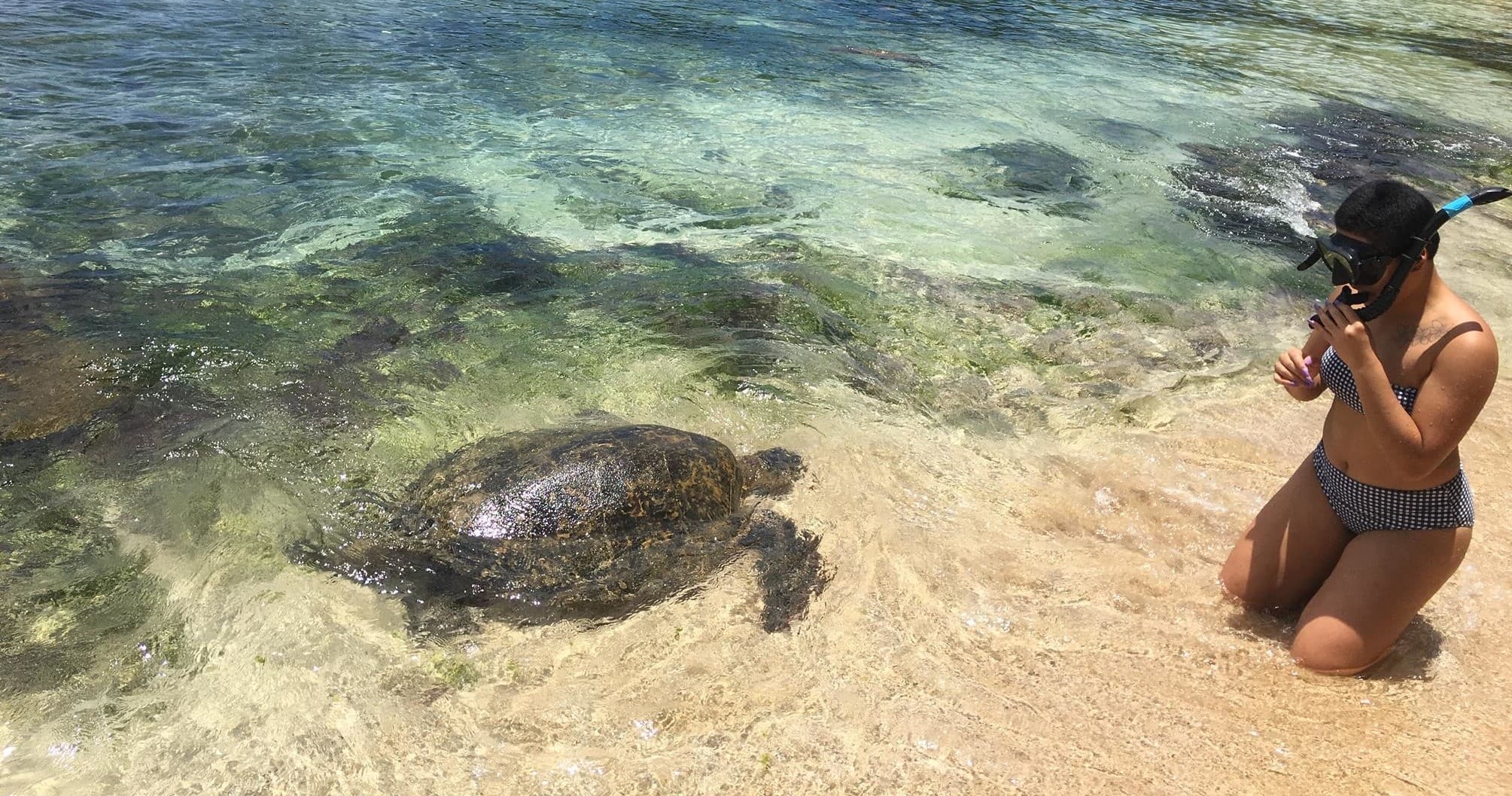 Grand Circle Island Tour Plus