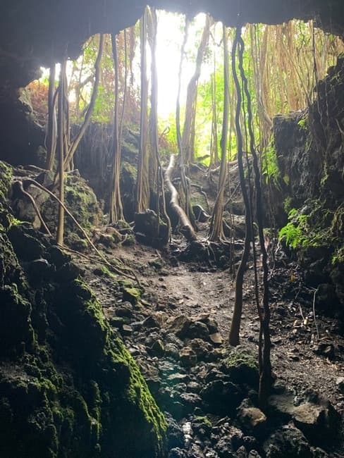 Half Day Private Tour