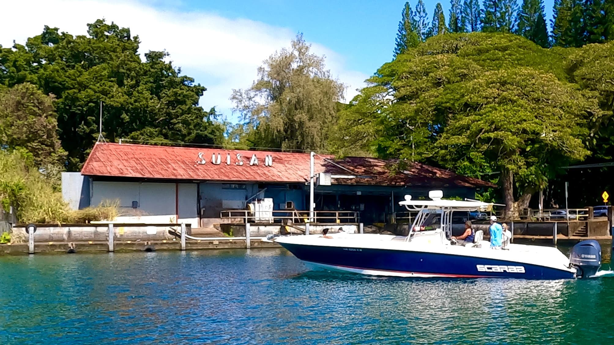 2 Tank Boat Dive - Hilo's Remote Tropical Reef