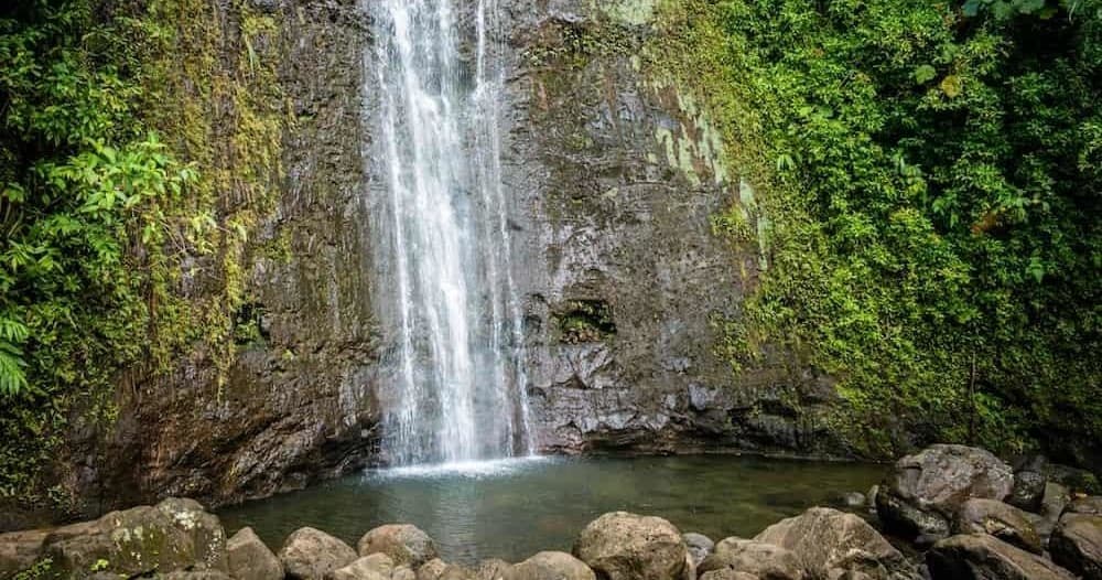 Manoa Falls & Kailua Beach