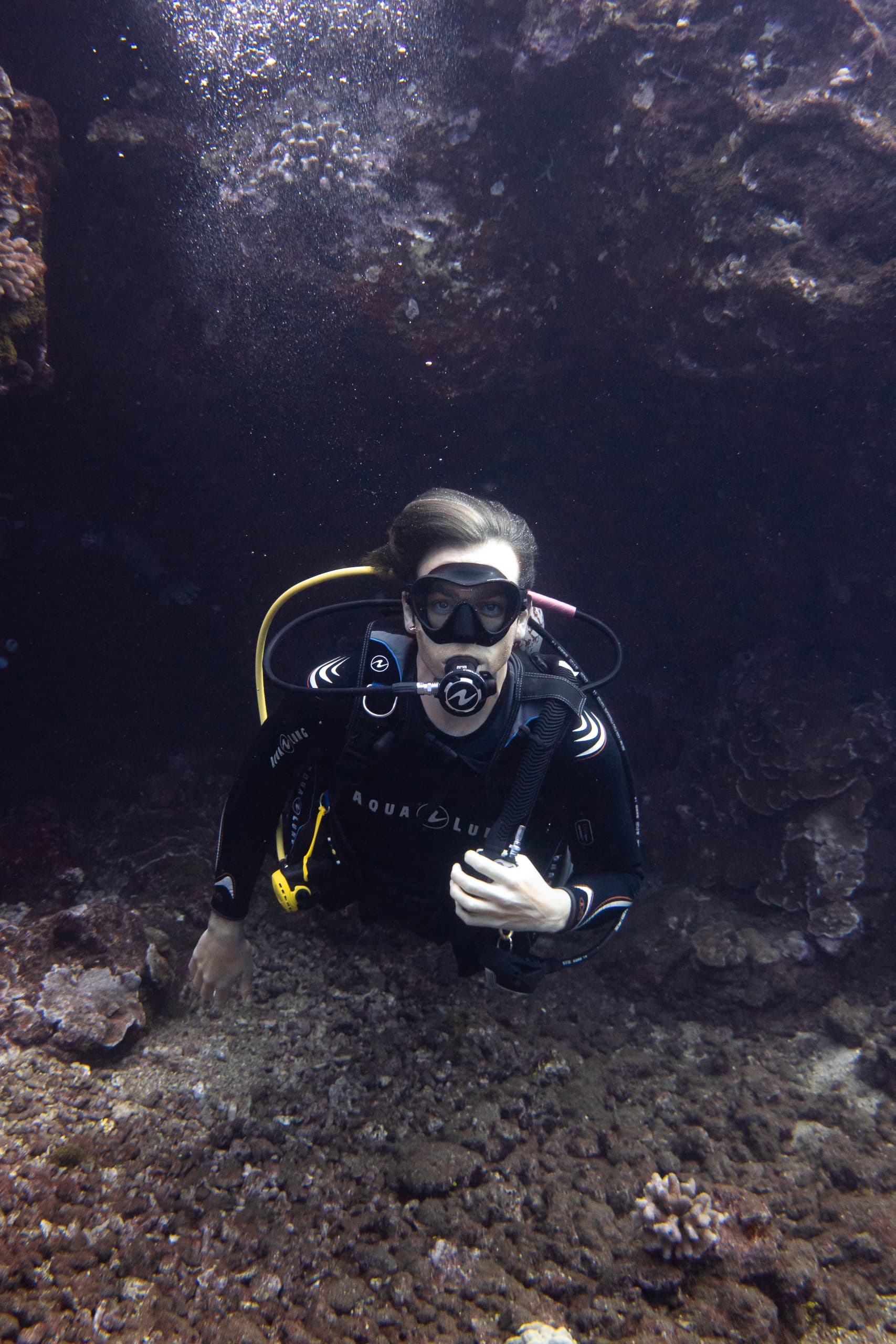 Private Boat 2 Tank Discover Scuba Dive Experience!