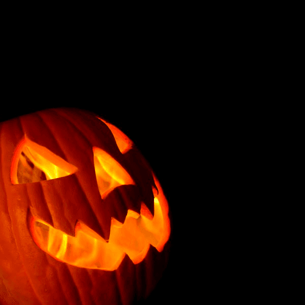 Boo's & Brews Halloween Cocktail Cruise • Ma'alaea