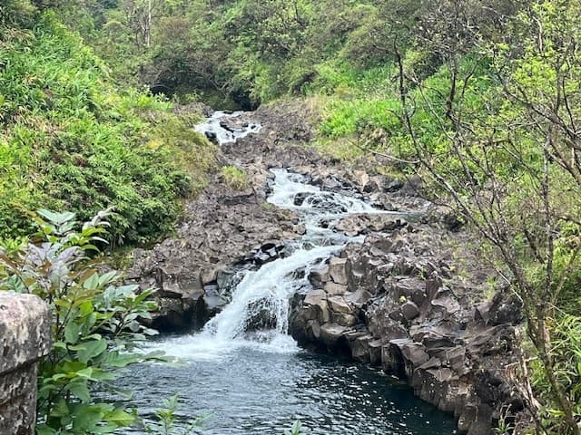 Regenerative Tourism Adventures