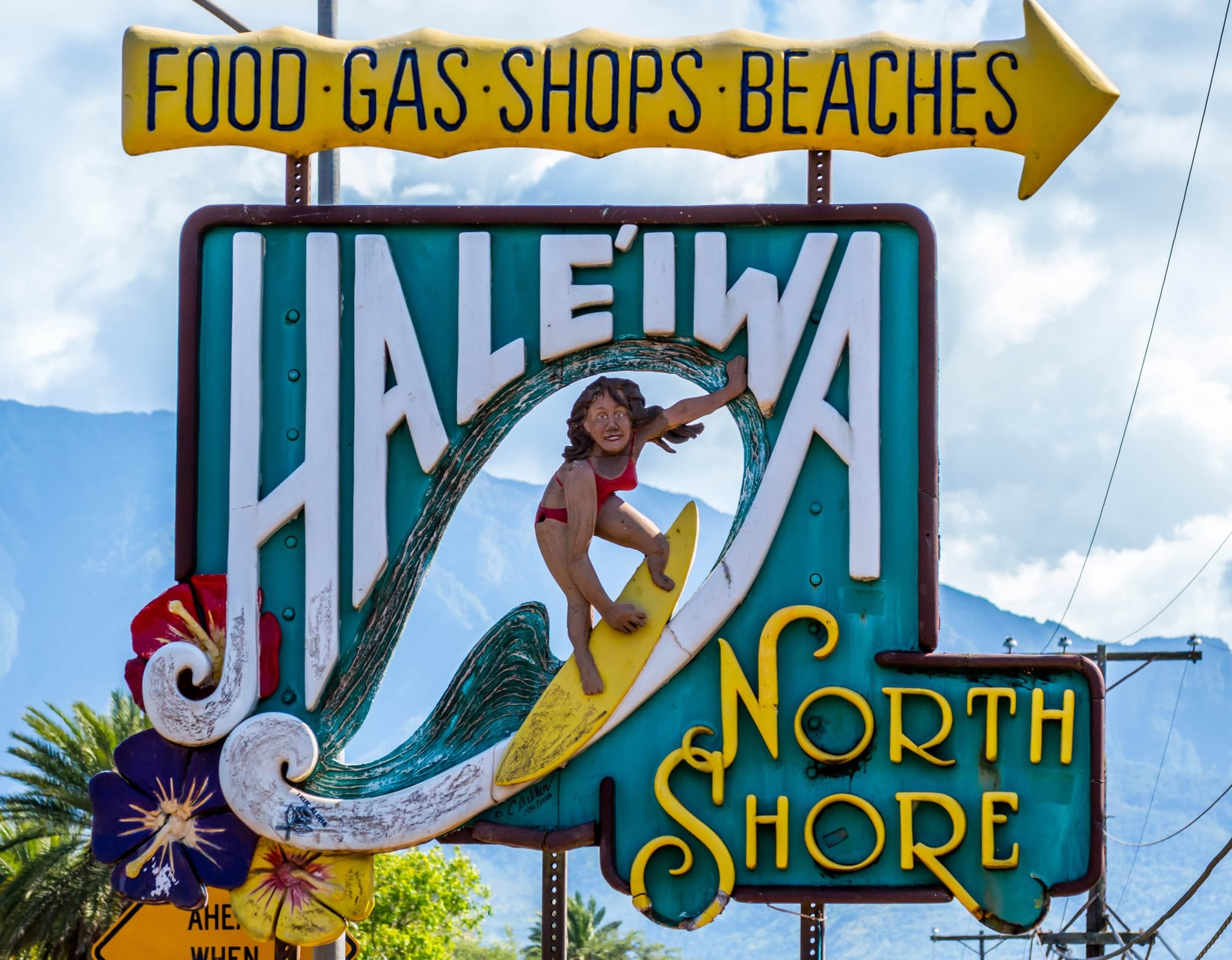 North Shore Tour - Private Tour