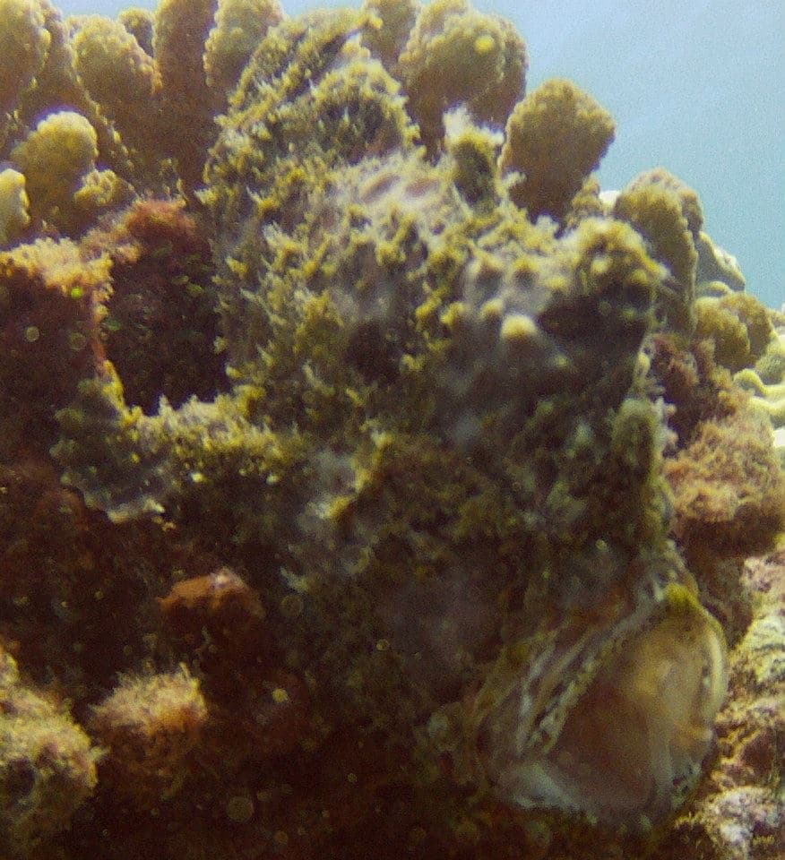 Advanced Open Water Diver