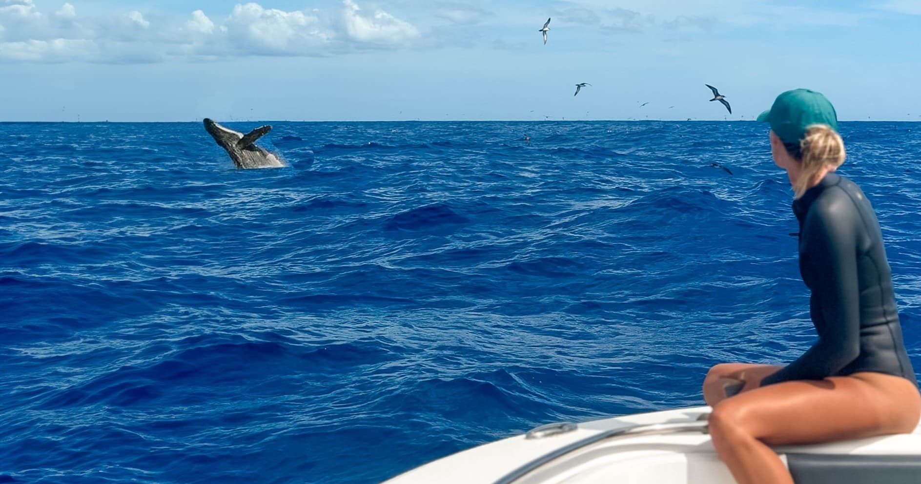 Waianae Whale Watch Tour