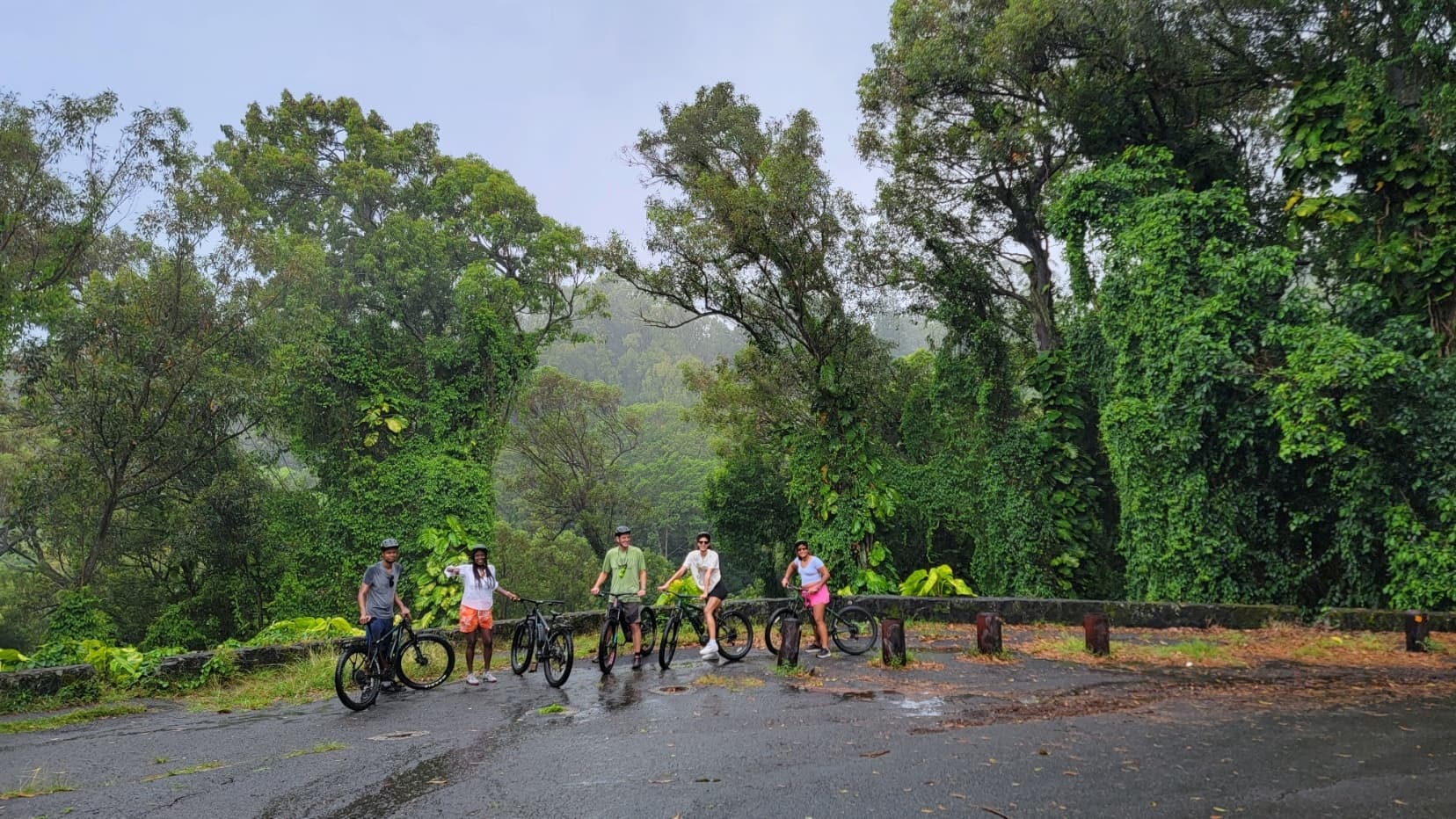 E-Bike Tour – Honolulu Rainforest Ride