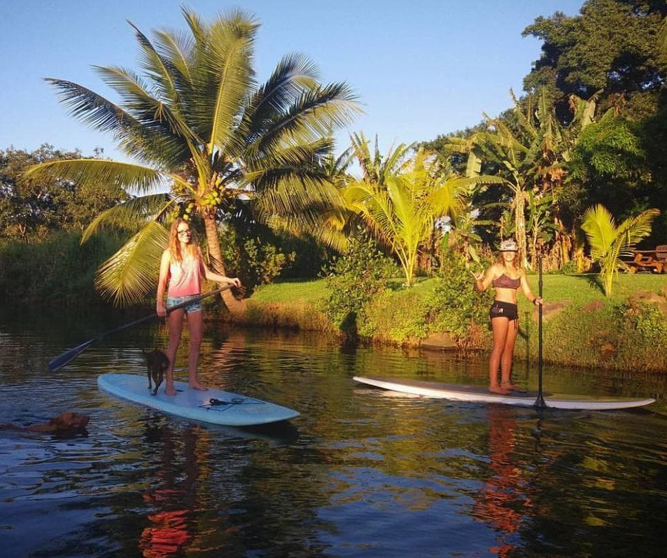SUP Lesson & River Turtle Tour - OLD