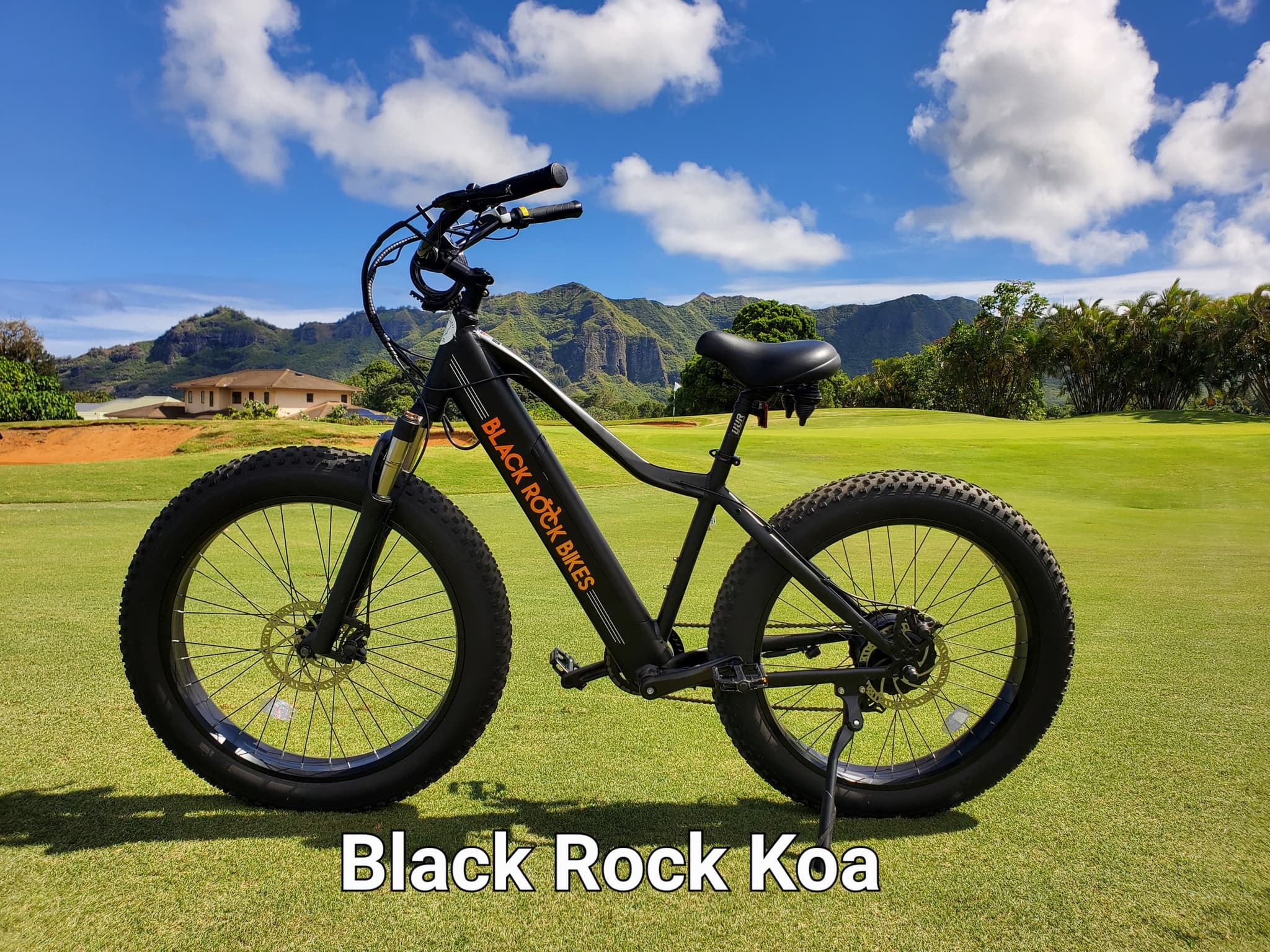 9-Day Ebike Rental