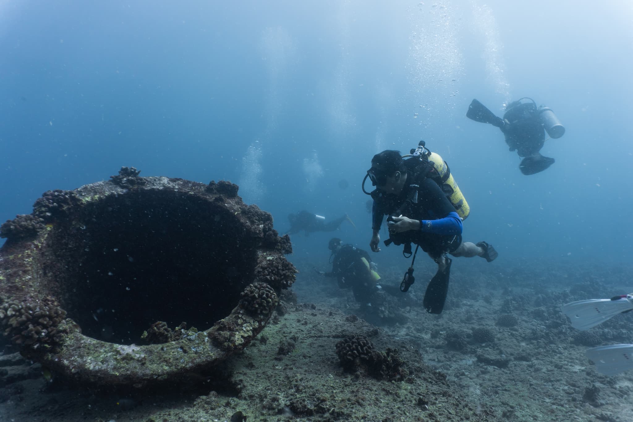 Private Boat 2 Tank Discover Scuba Dive Experience!