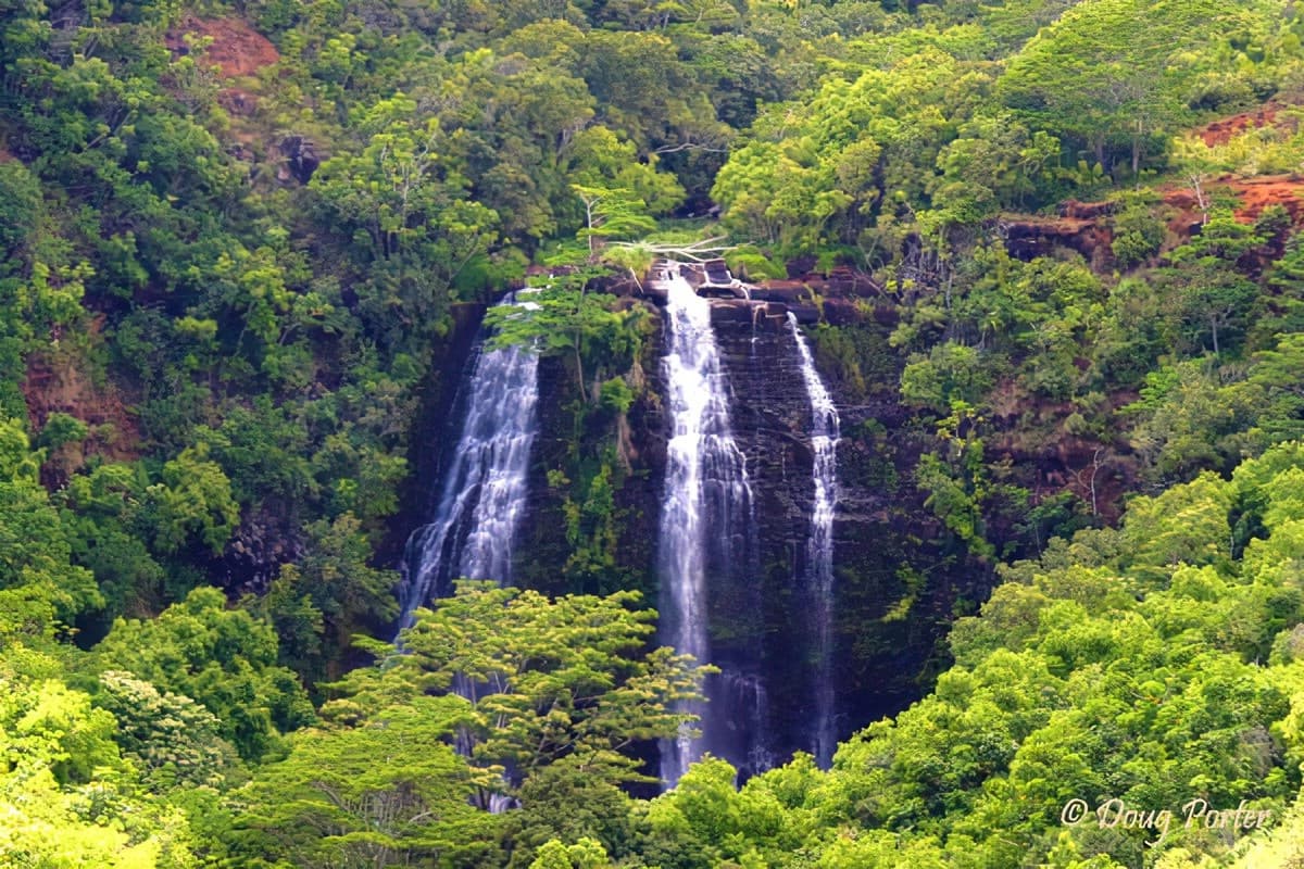 Opaeka'a Falls & Forest Reserve