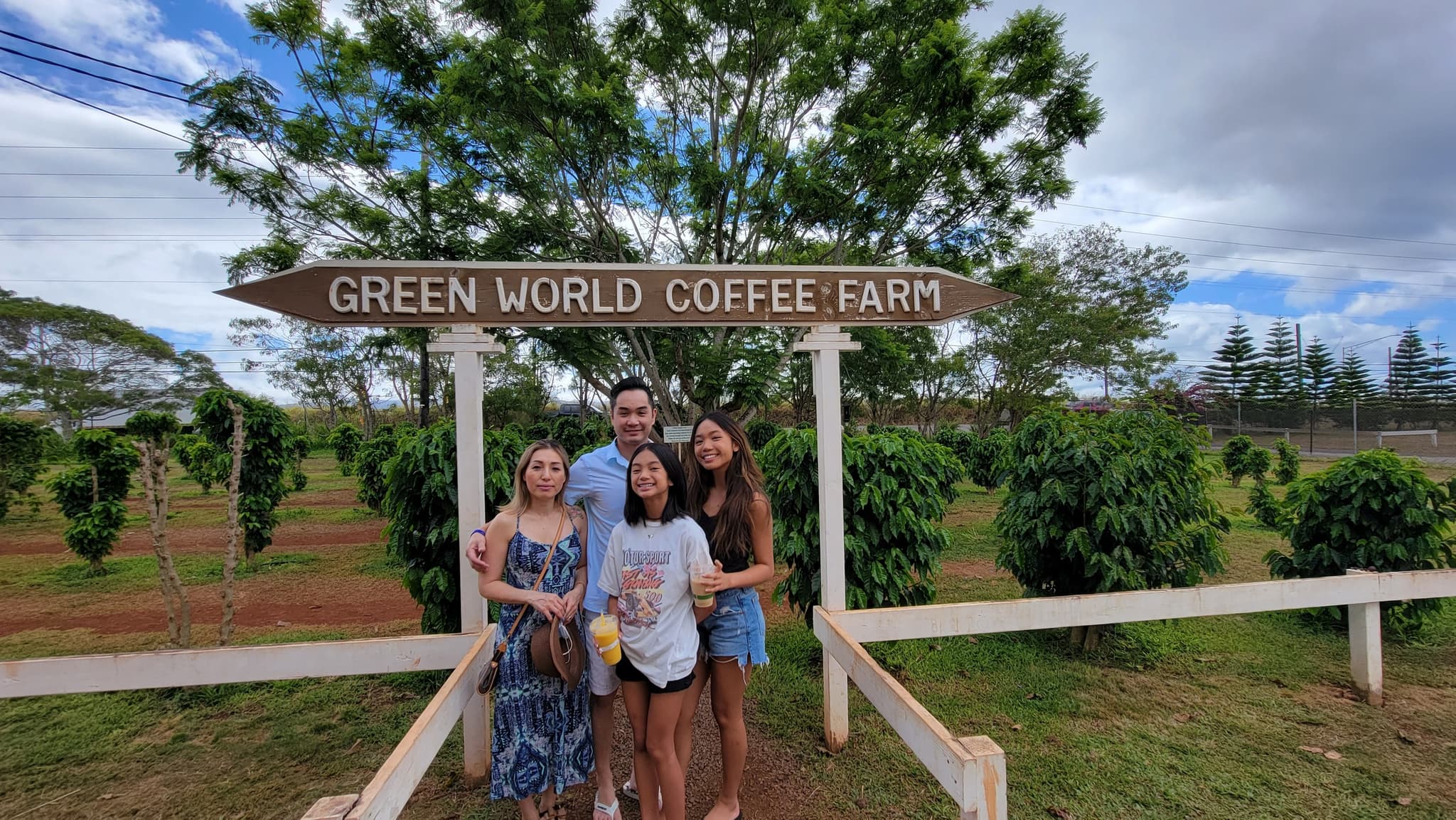 Private Best North Shore Tour