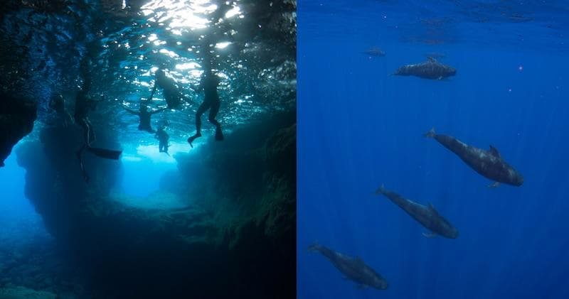 Offshore Blue Water Adventure