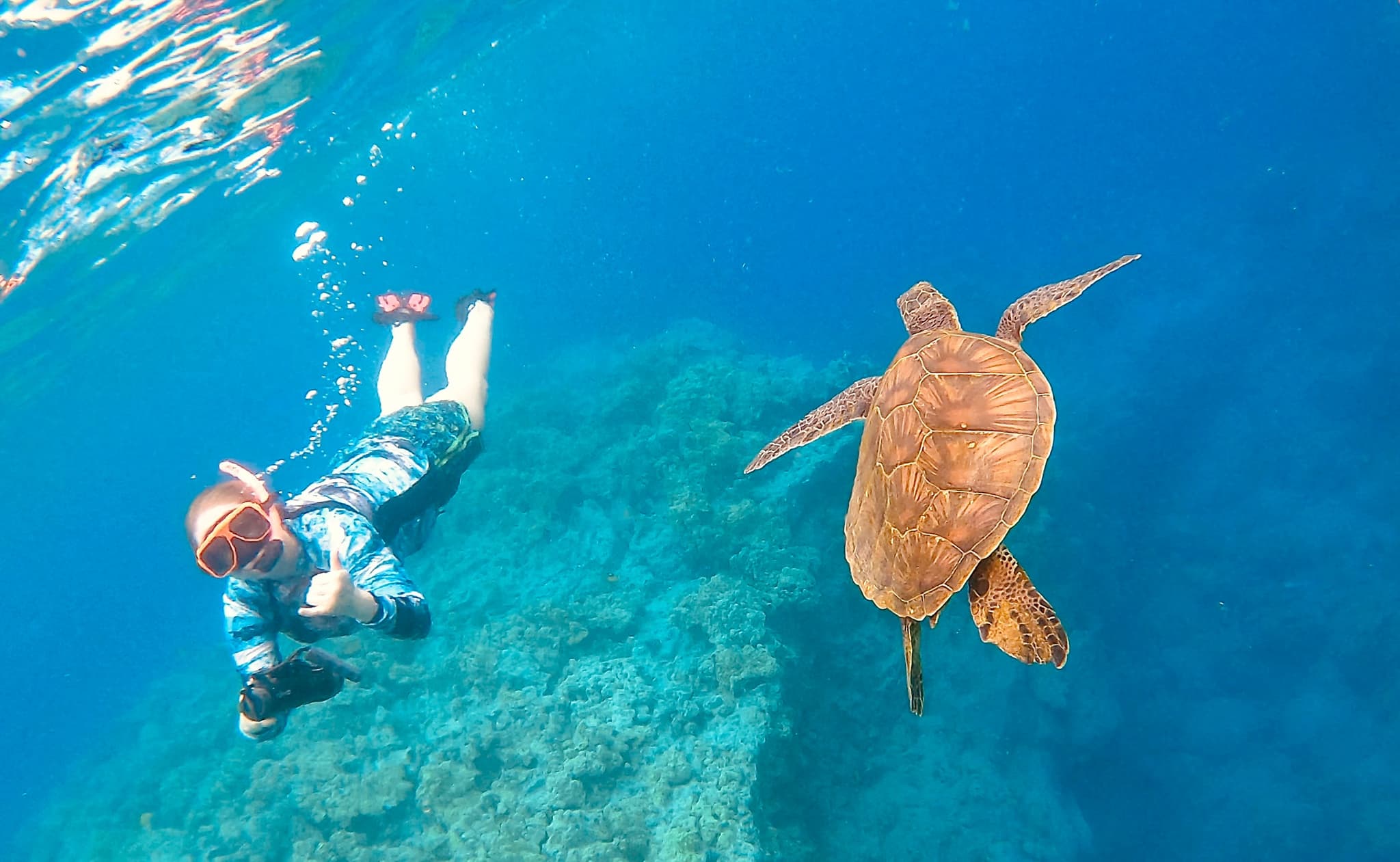 Guided Sea Scooter Snorkel Tour - Puako