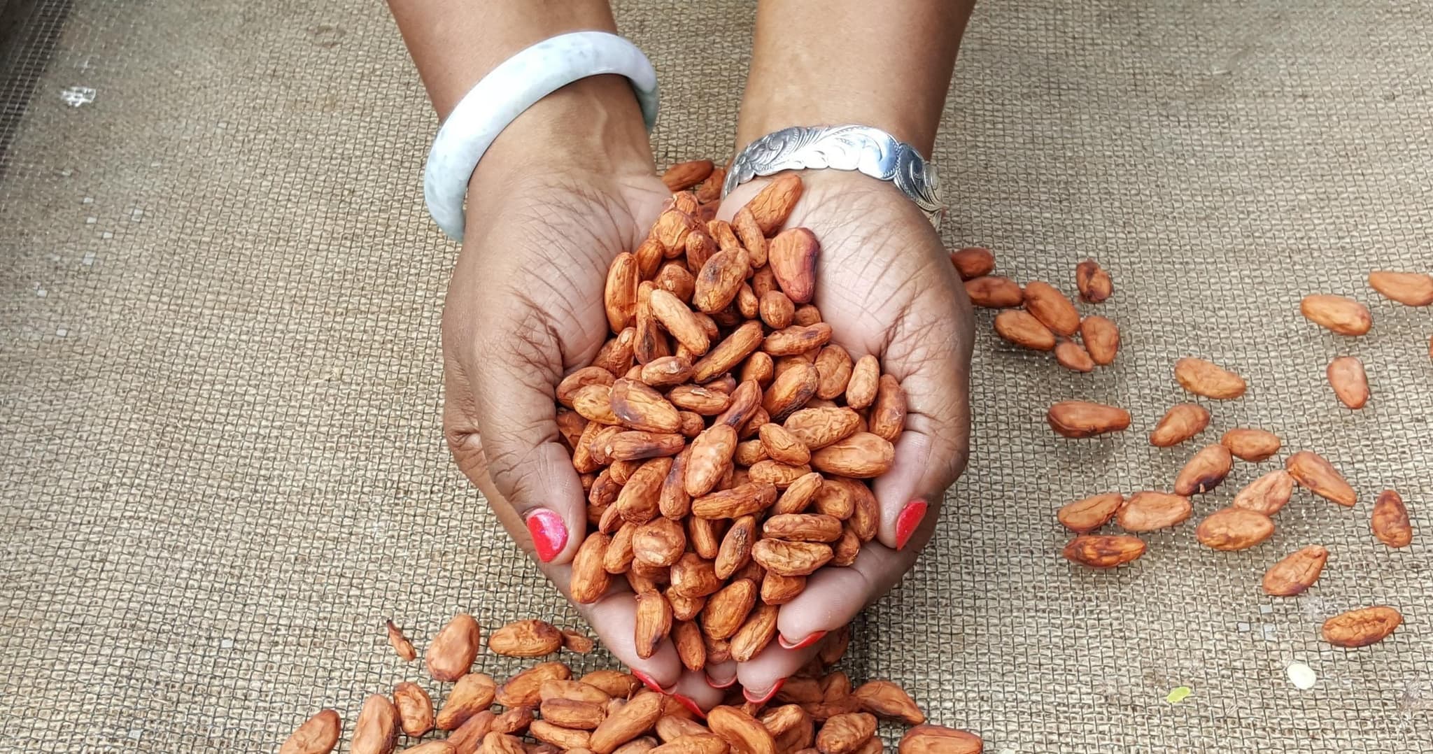 Chocolate and Coffee Adventure