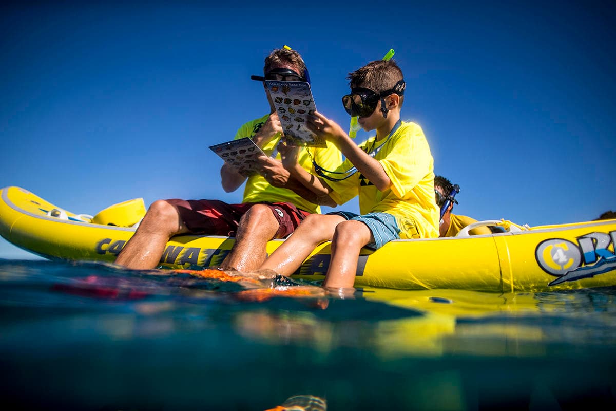 Guided Snorkel Tour to Puʻu Kekaʻa