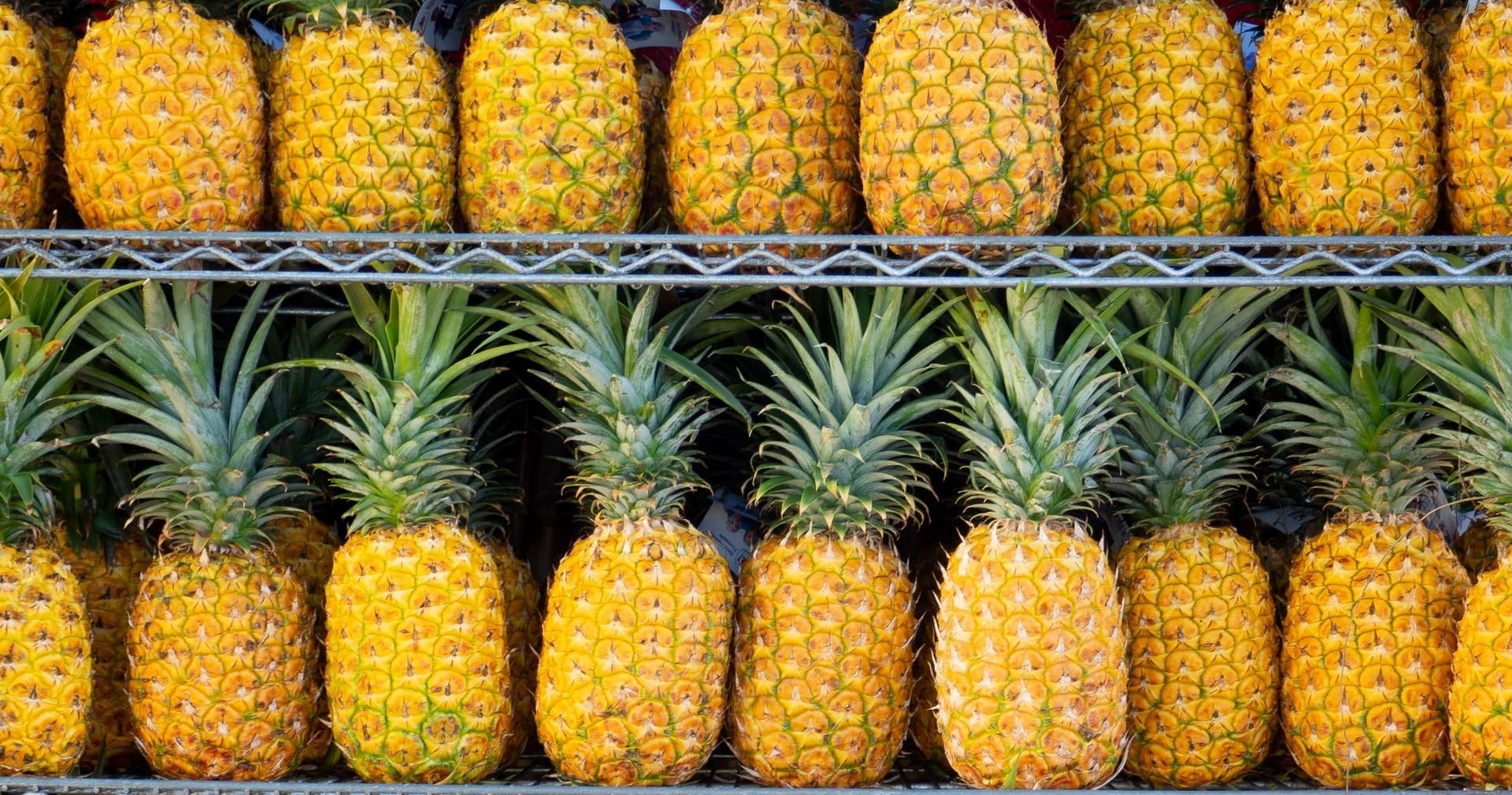 Custom Private Tours