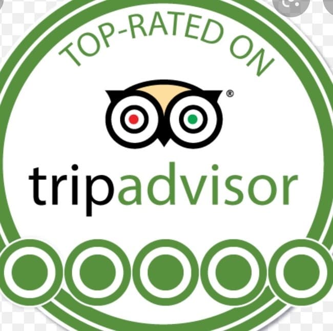 Waikiki Magic Show at Hilton Waikiki Beach Hotel